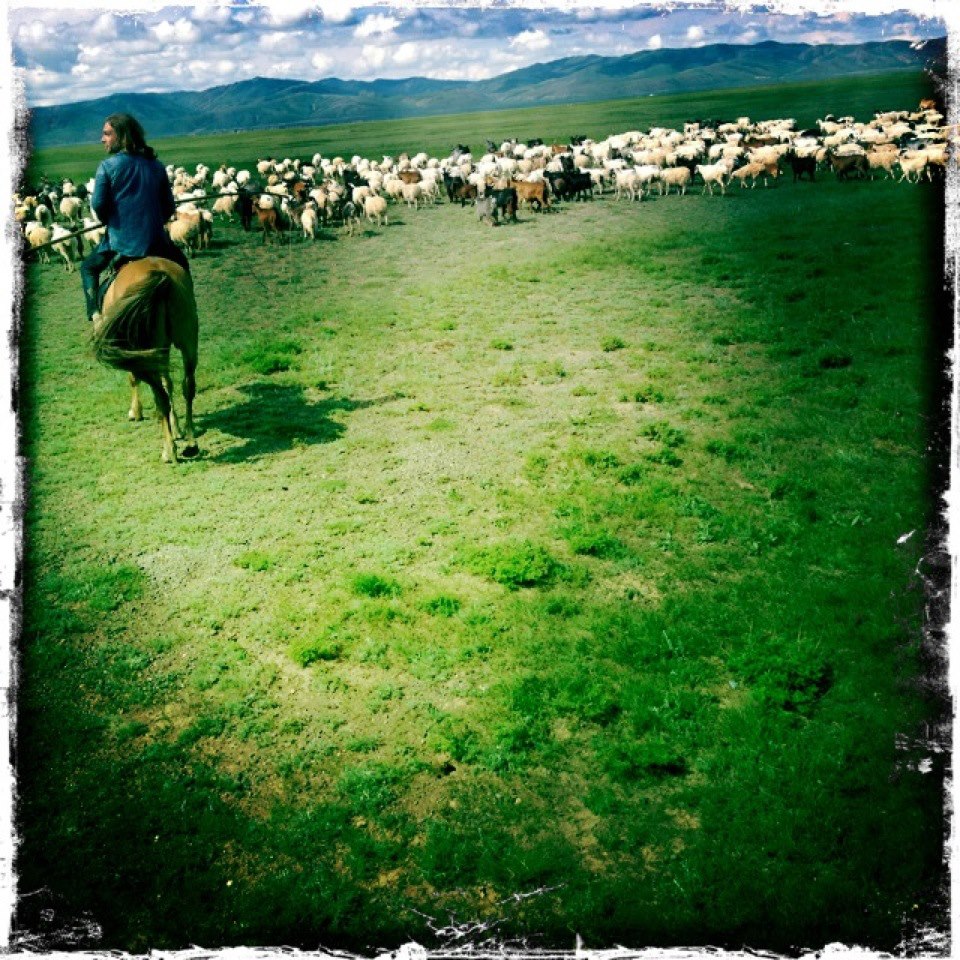 One for you, one for me (27)